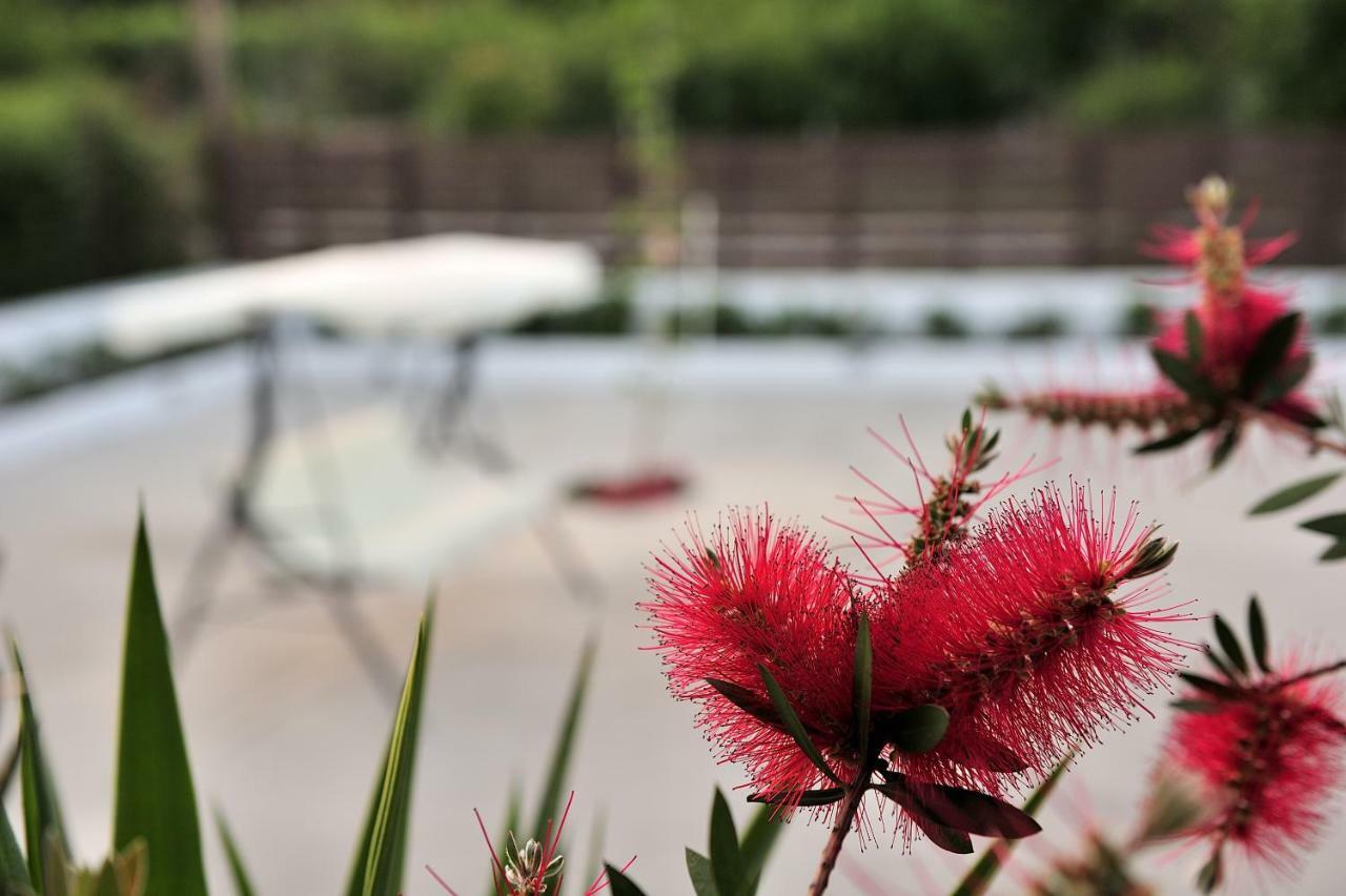 Anastazia Paradise Kolios ภายนอก รูปภาพ